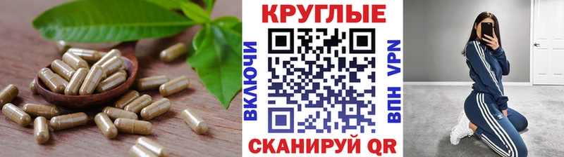 ЭКСТАЗИ Philipp Plein  закладка  Стародуб 