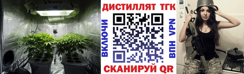 ТГК вейп с тгк  закладки  Стародуб 